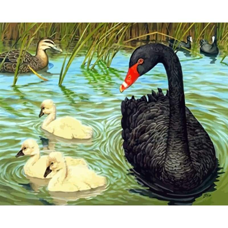 Swan Diy Paint By Numbers Kits PBN30051 - NEEDLEWORK KITS