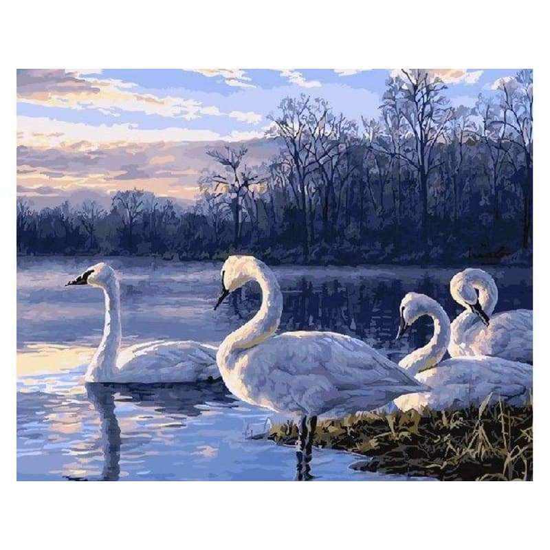 Swan Diy Paint By Numbers Kits PBN30057 - NEEDLEWORK KITS