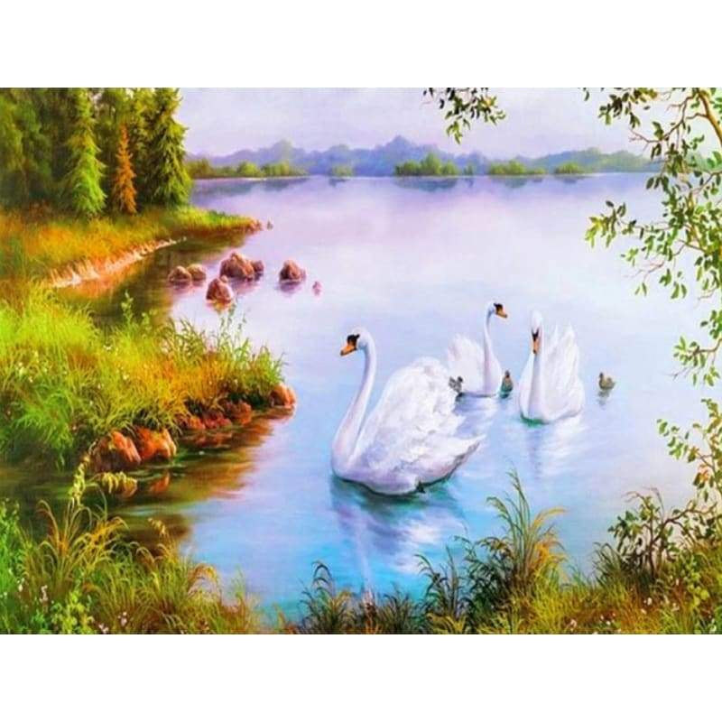 Swan Diy Paint By Numbers Kits PBN97922 - NEEDLEWORK KITS