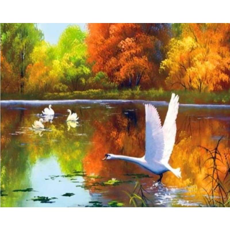 Swan Diy Paint By Numbers PBN90410 - NEEDLEWORK KITS