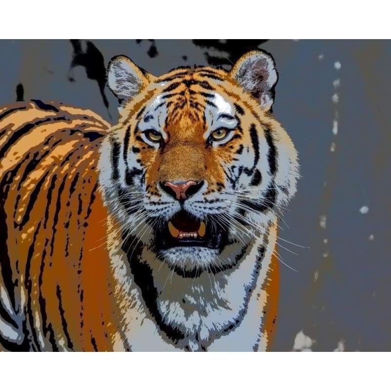 Tiger Diy Paint By Numbers Kits VM95412 - NEEDLEWORK KITS