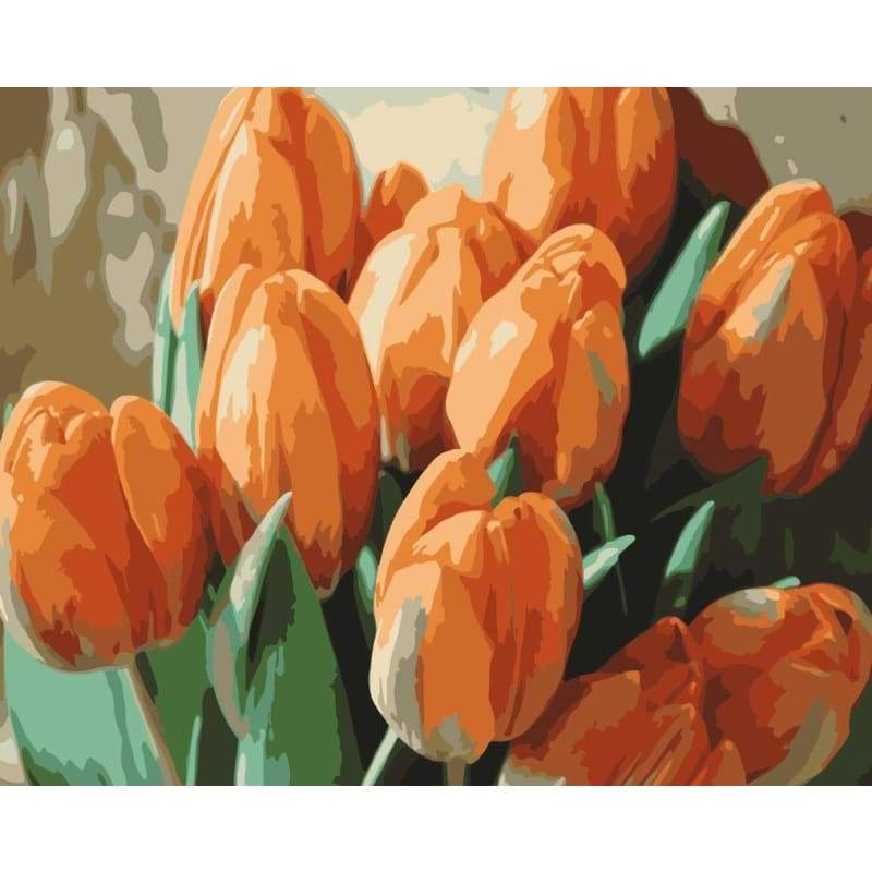 Tulips Diy Paint By Numbers Kits WM-1037 - NEEDLEWORK KITS
