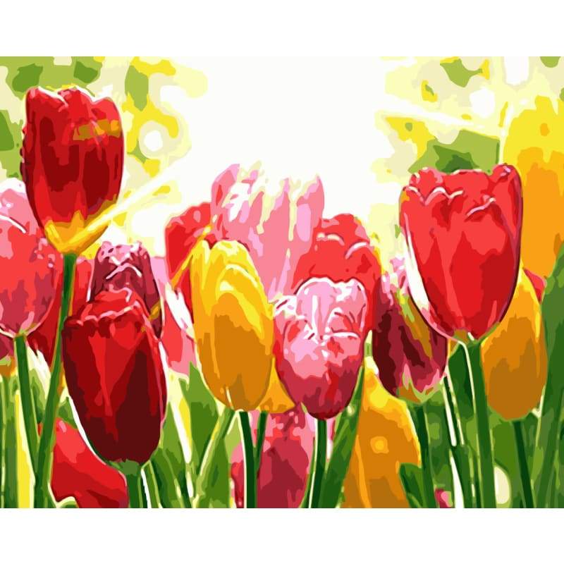 Tulips Diy Paint By Numbers Kits WM-777 - NEEDLEWORK KITS