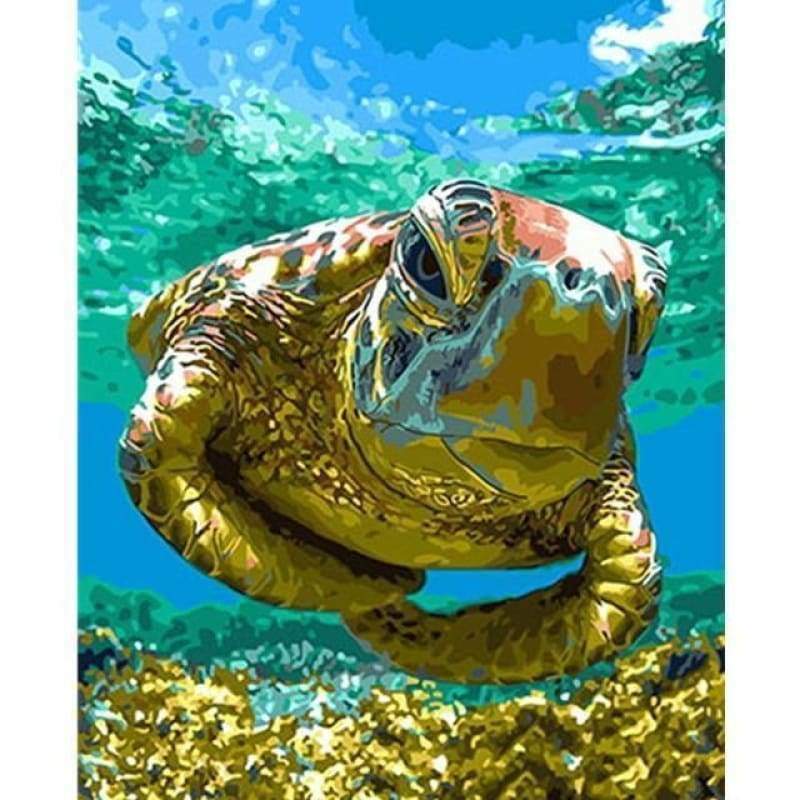 Turtle Diy Paint By Numbers Kits VM57287 - NEEDLEWORK KITS