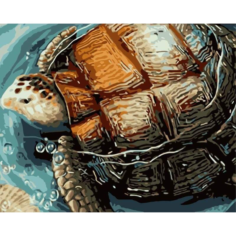Turtle Diy Paint By Numbers Kits WM-634 - NEEDLEWORK KITS