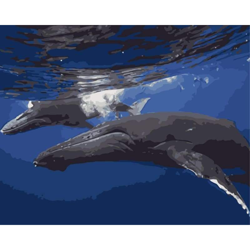 Whale Diy Paint By Numbers Kits WM-1524 - NEEDLEWORK KITS