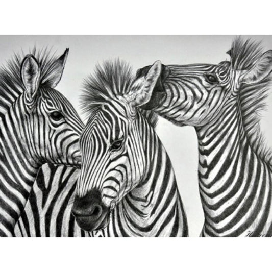 Zebra Kisses - NEEDLEWORK KITS